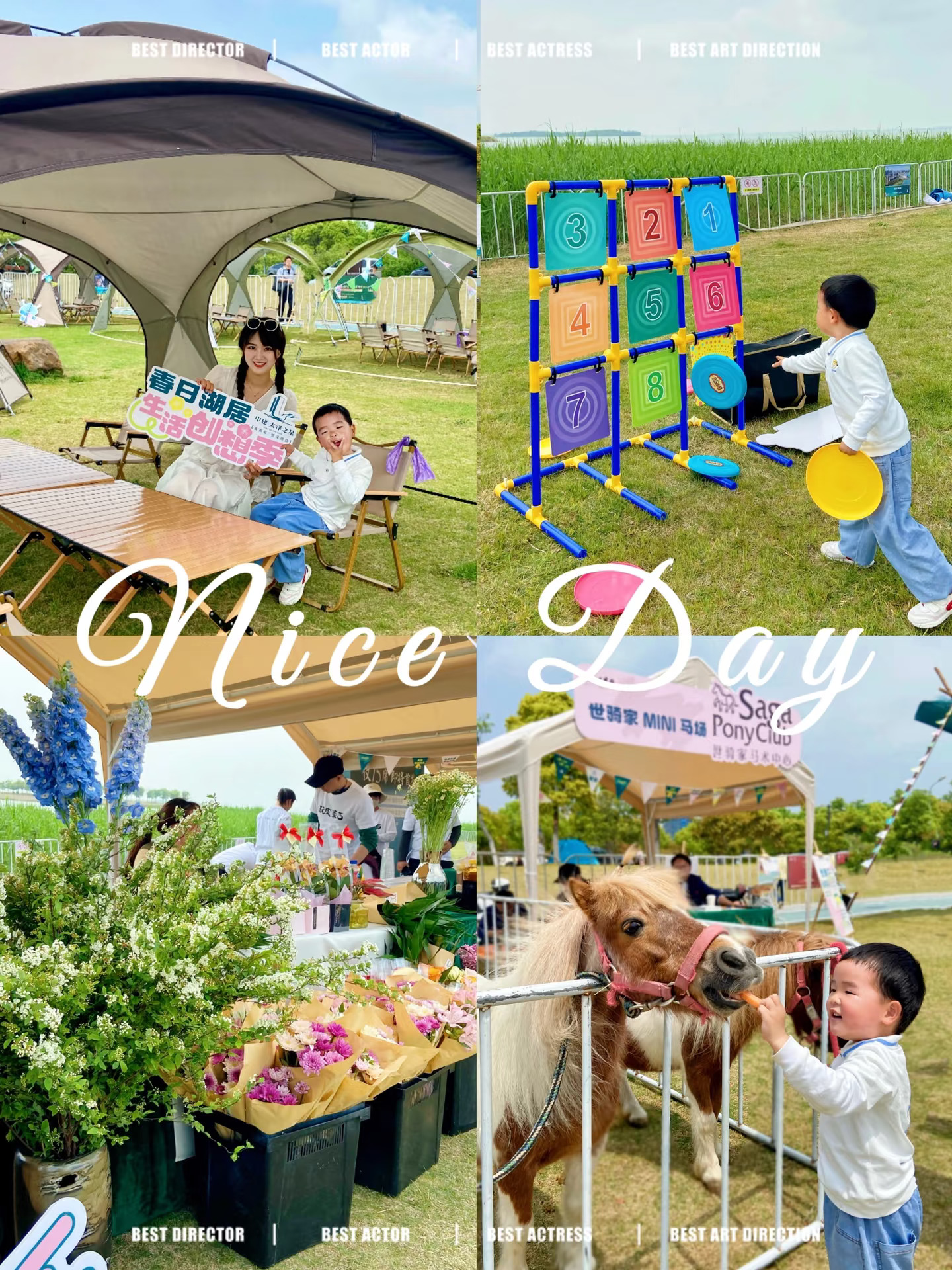 这个免费的露营地太好玩啦❗️还有小马🐎哦～