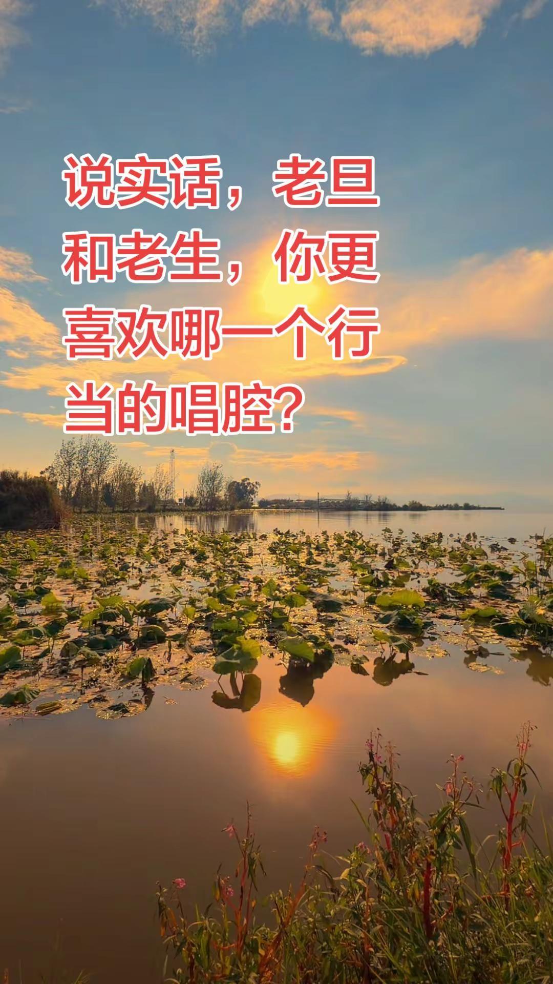 说实话，老旦和老生，你更喜欢哪一个行当的唱腔？京剧