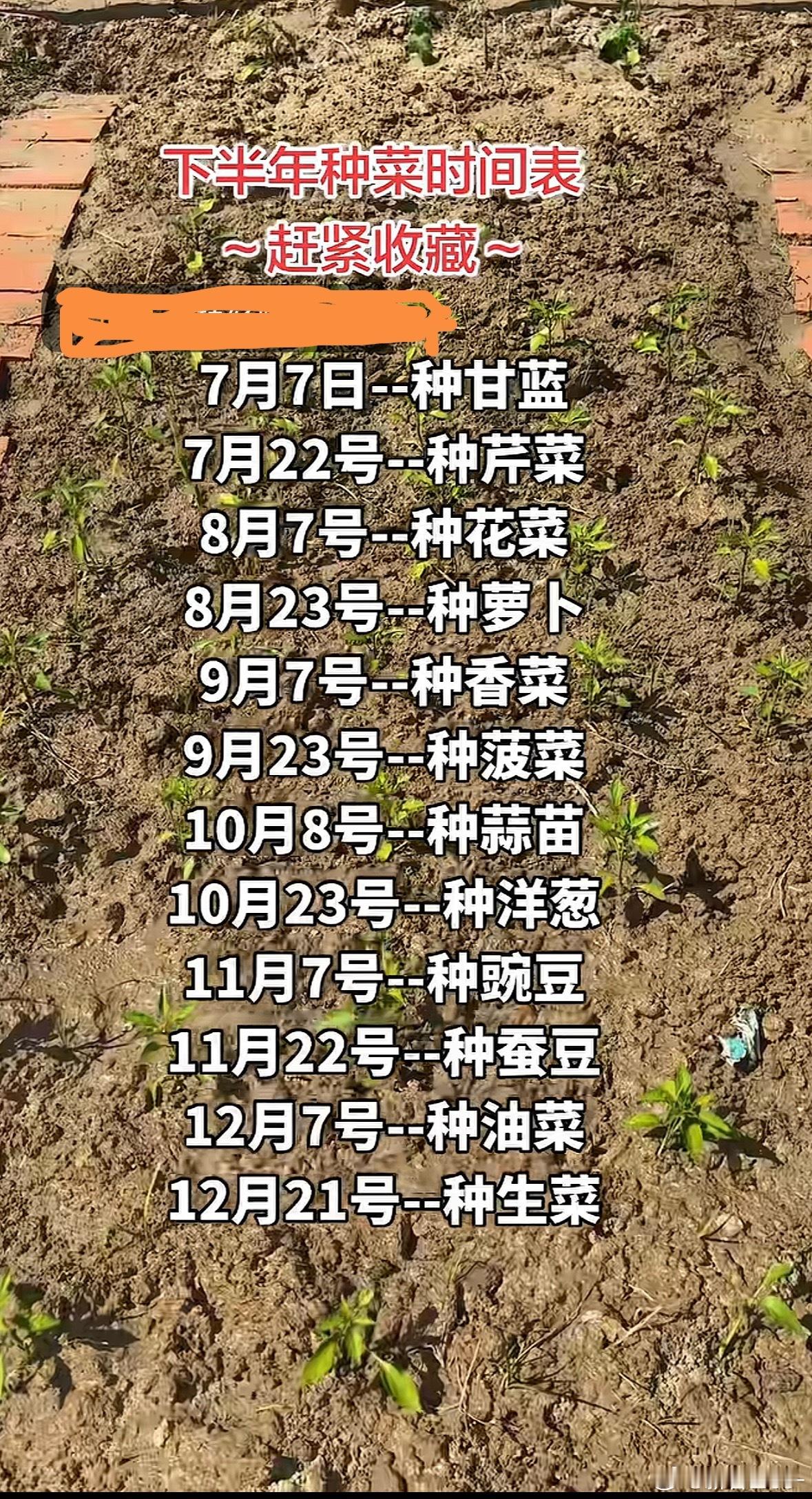 有江苏网友发了份下半年种菜时间表，这个对吗？ 