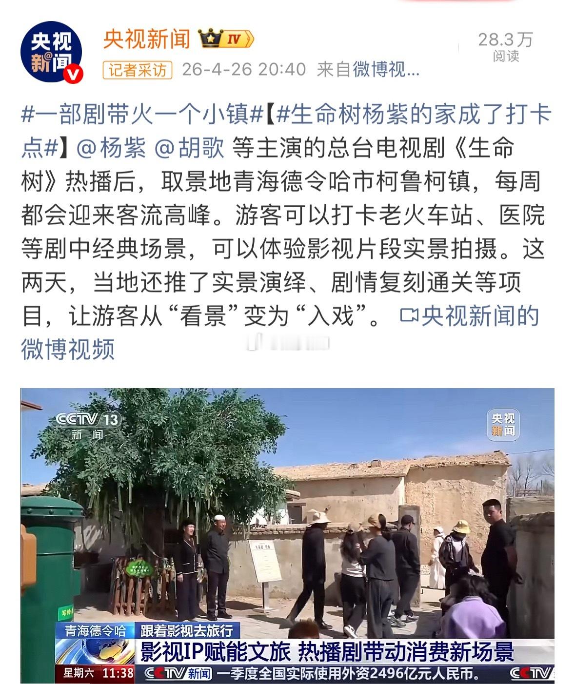 央视新闻认证喔，杨紫生命树带动消费，带火一个小镇 