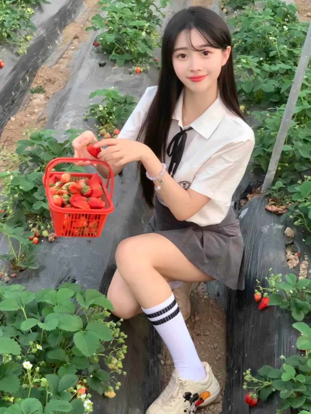 今天来摘草莓咯🍓