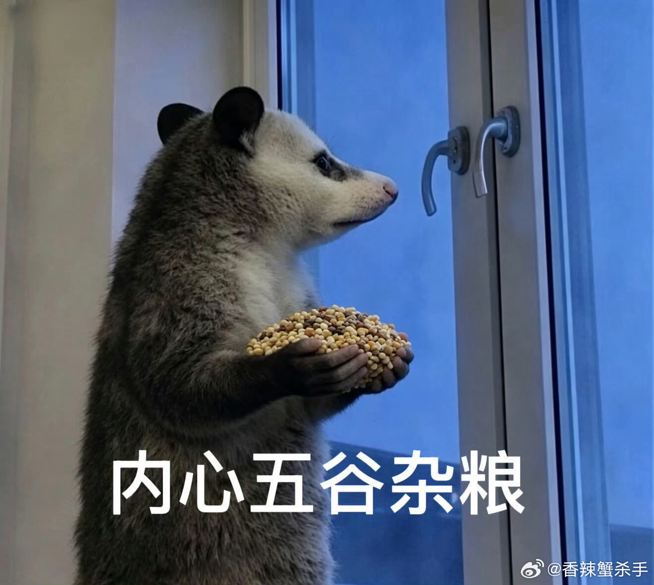 神仙肉二番直聘宝子们，我真的体感到撕番、撕角色、撕🫓已经进入白热化阶段了都懒得