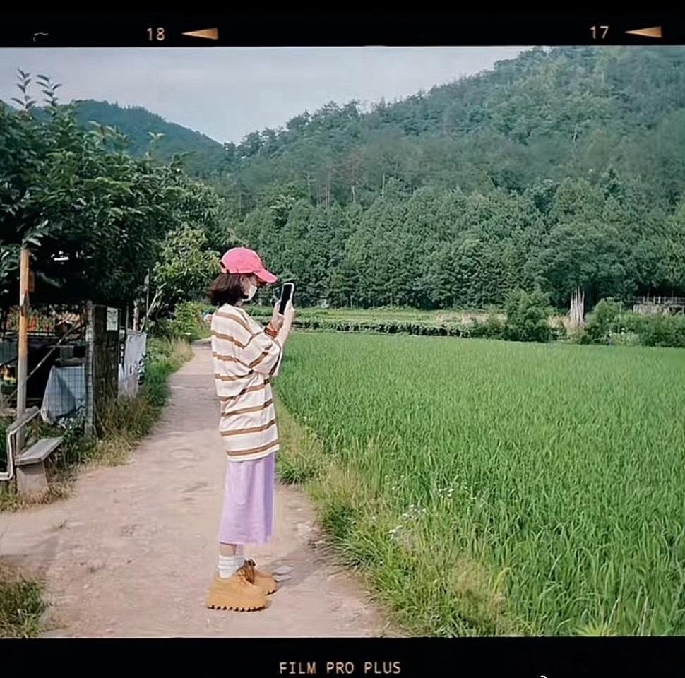 你争你的白玉兰 我种我的大头菜 