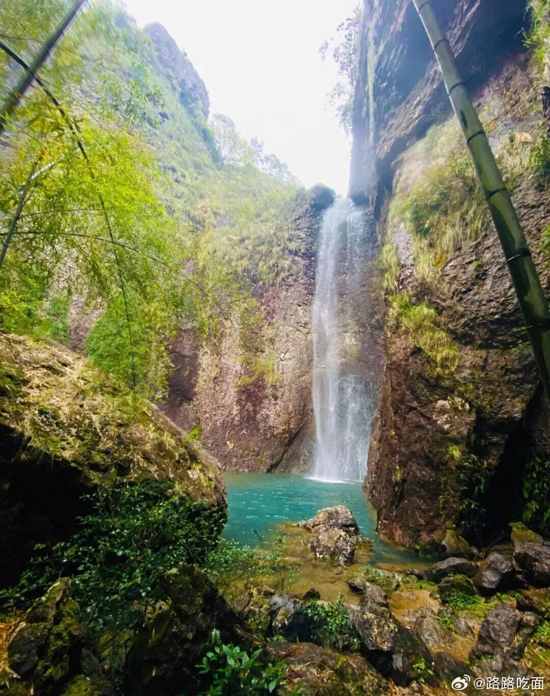 岩壁竹林环绕，潭水碧绿，扑面而来满是凉意 ​​​