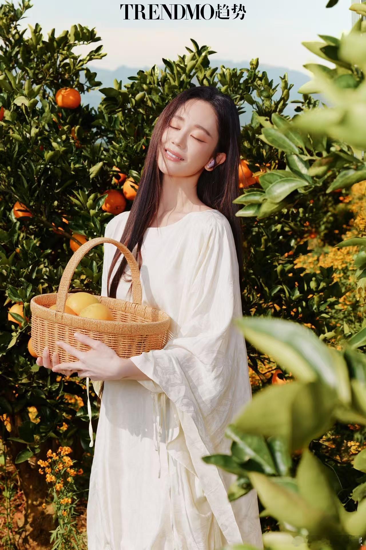 海陆新大片带火橘乡好风物 海陆这组大片真的好会拍！提着竹篮穿梭在橘林里，指尖碰着