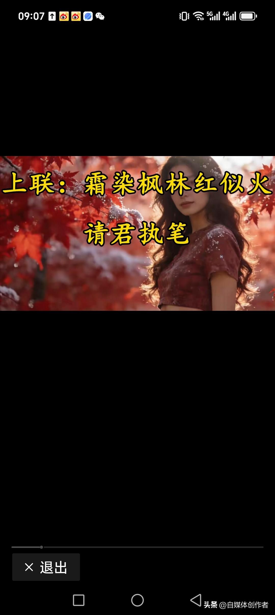 霜染枫林红似火
风吹树叶醉美人