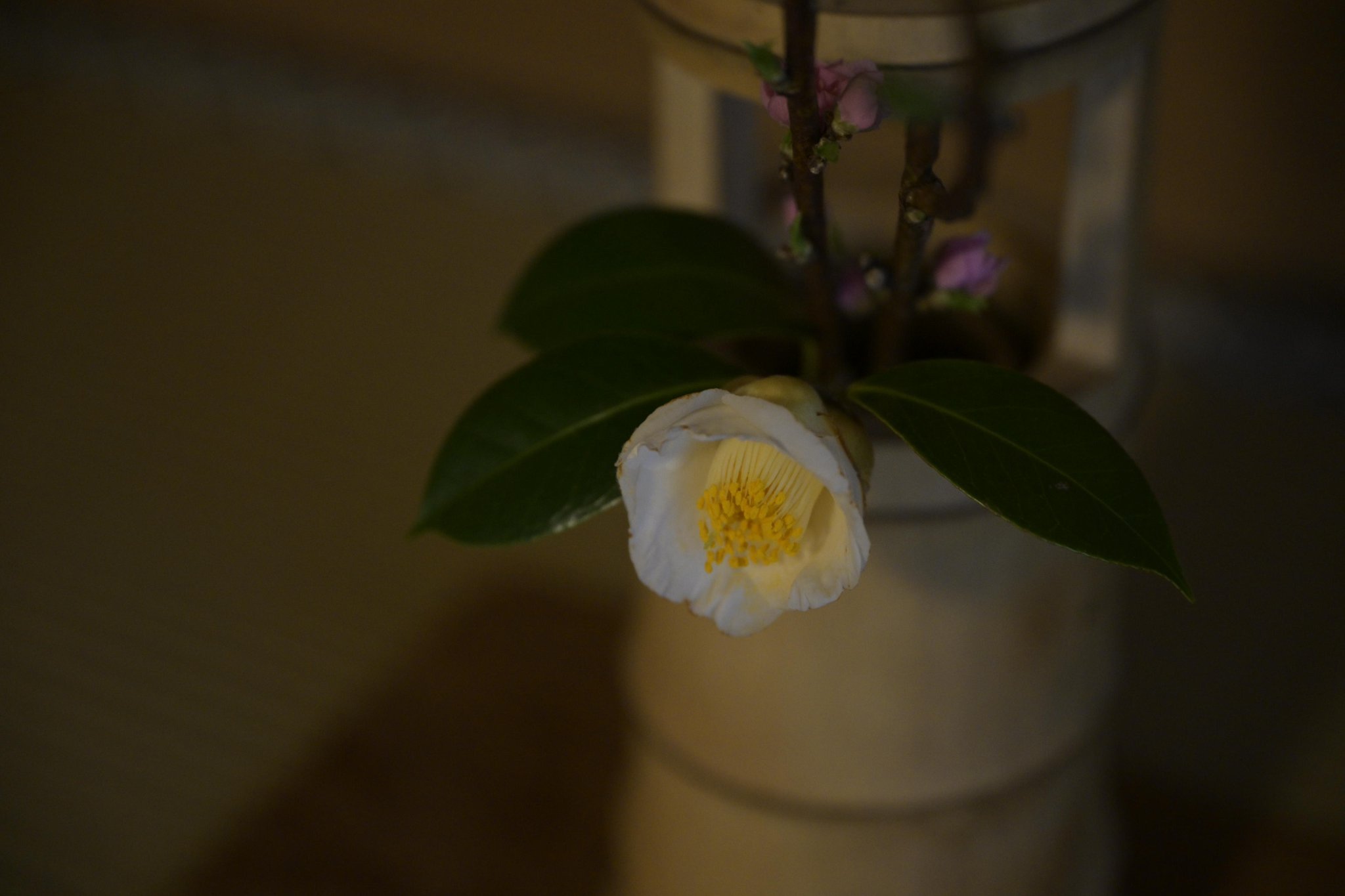 他（日本艺术家）研究的是一株草。……他就是这样度过一生的，要描绘所有的事物的话人