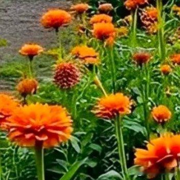 若以人情世故来看食材的相逢，有的是让人叫绝的天作之和；有的是叫人动容的邂逅偶遇；