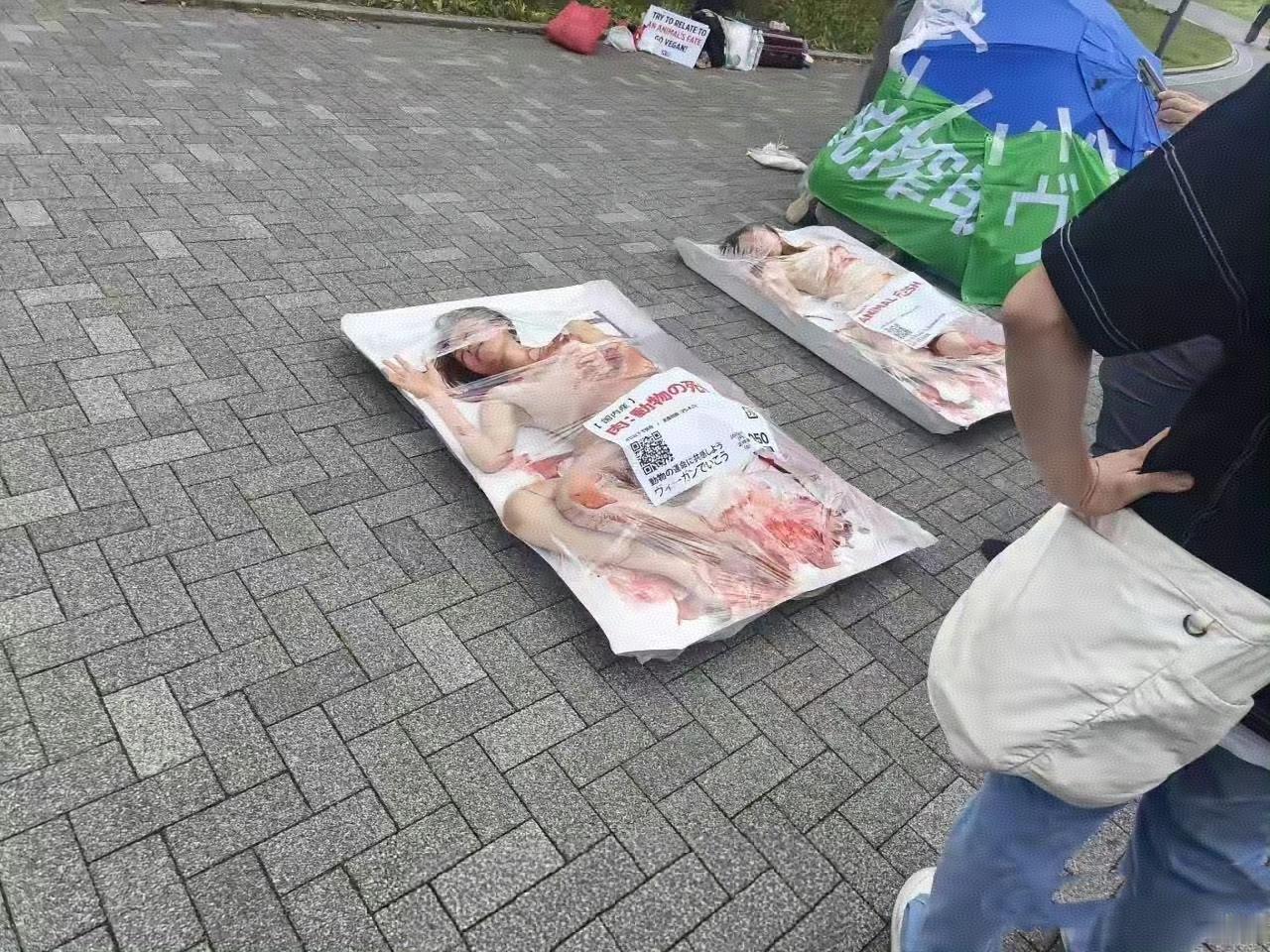 "素食主义者"闹麻了。她们将自己弄的"血呼呼"的套进塑料袋里，然后躺在地上，装成