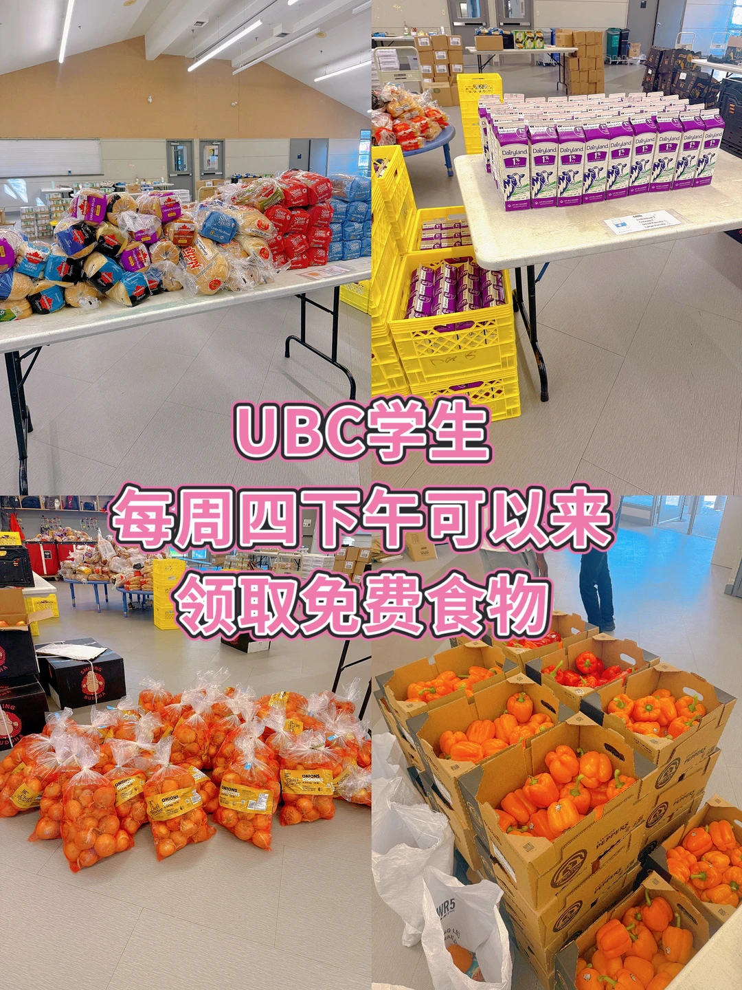 🇨🇦UBC的学生每周四下午可以领免费食物
