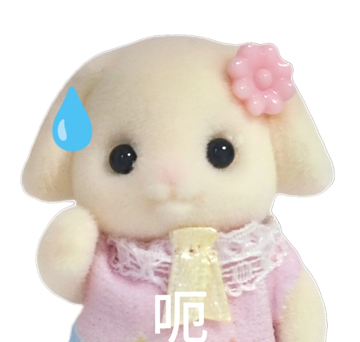 我记忆中观众对她明明很包容我记得以前何以的时候明明是夸她的比较多 我有时候真的觉