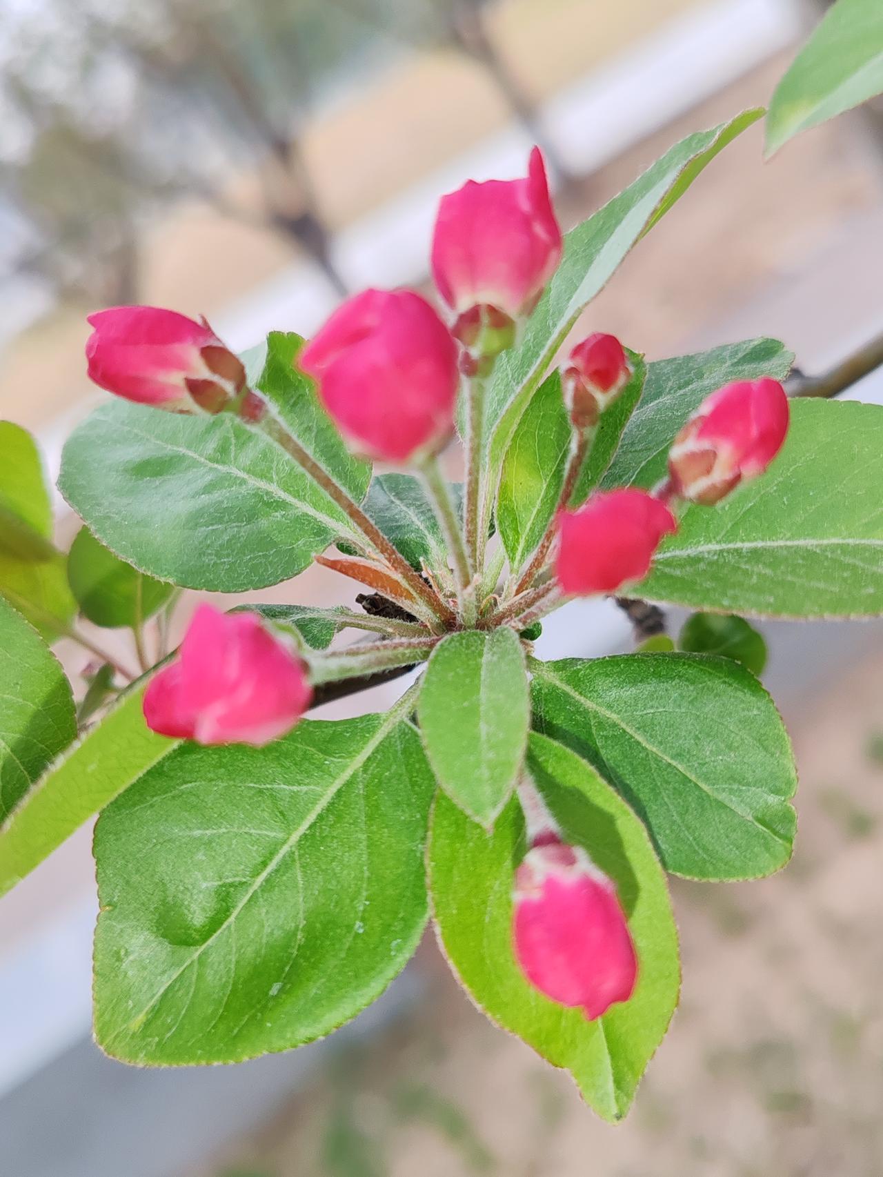 上联：东门摆酒西门庆；诚邀下联北宫设宴南宫适