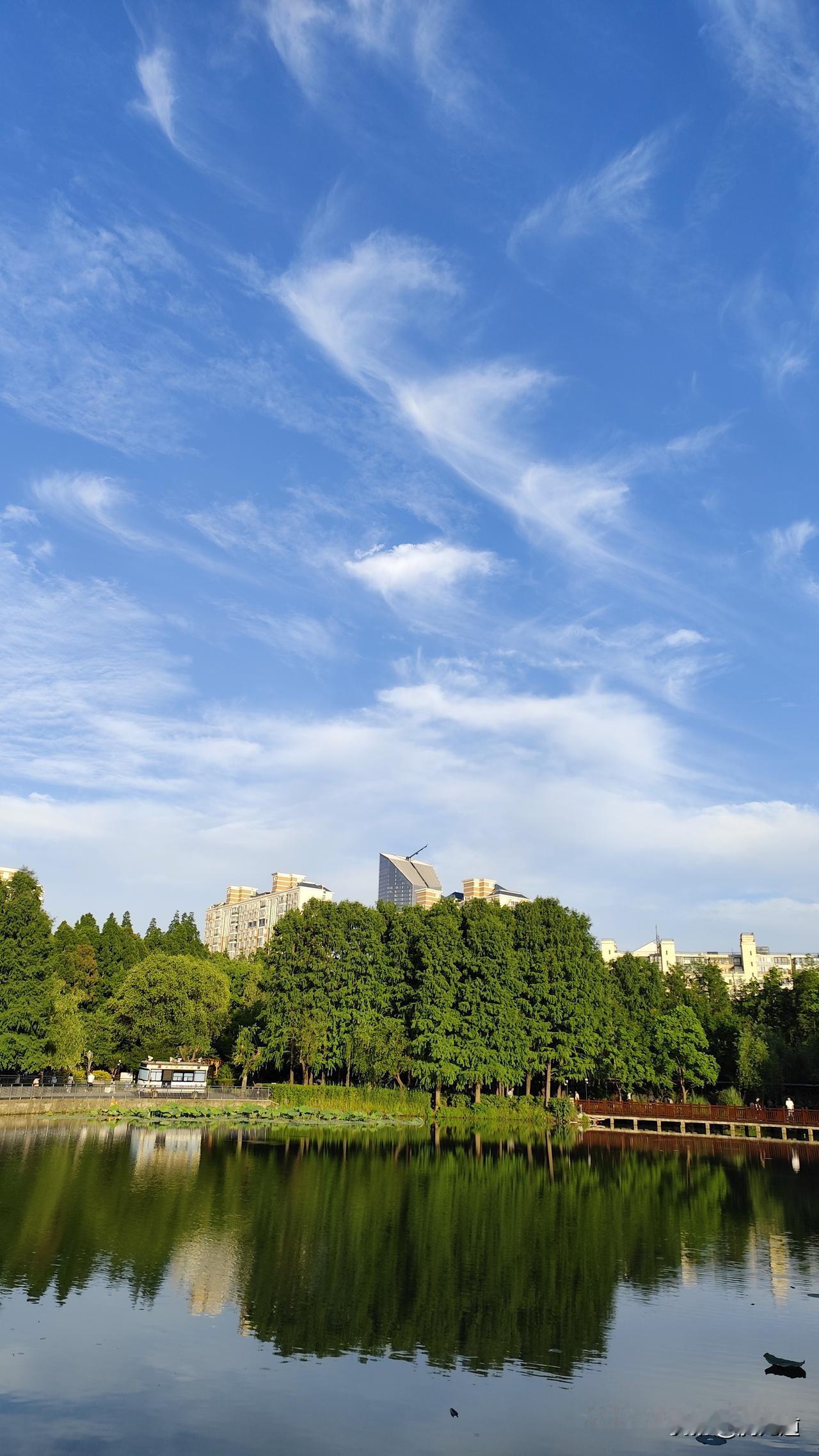 分享你随手拍的风景白云展翅飞向前