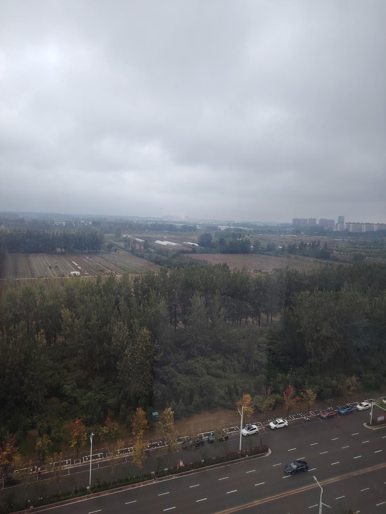 老家的晨，治愈满分
 
回老家的清晨，推开窗就是满目的绿意和湿润的空气，深吸一口