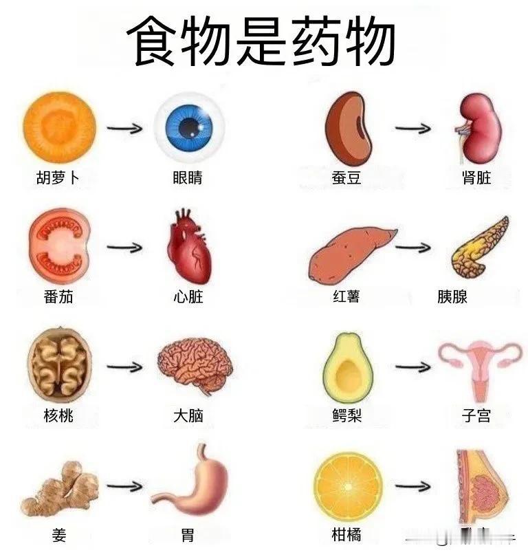 食色性也，药食同源。
重视药食同源 食物即是药物