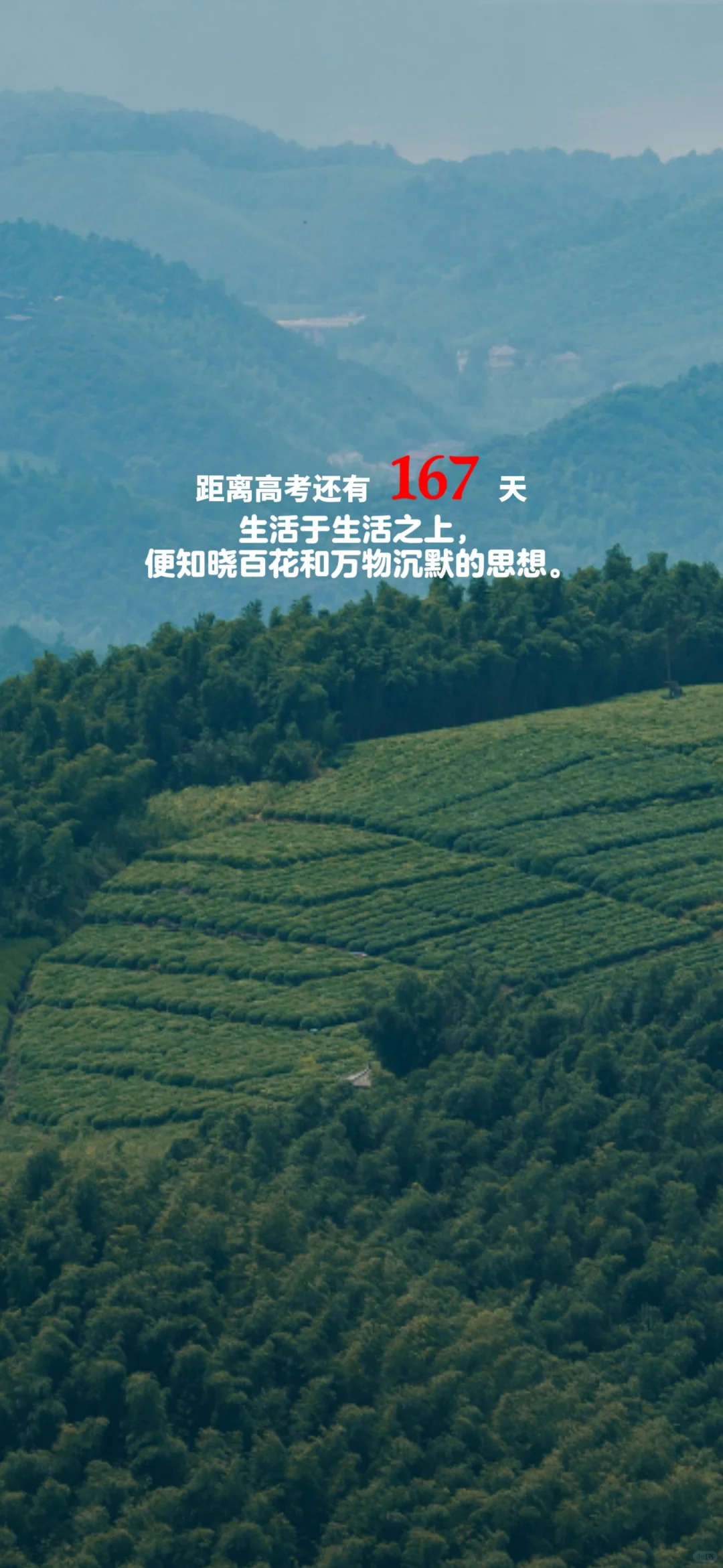 2025高考倒计时，每日更新。