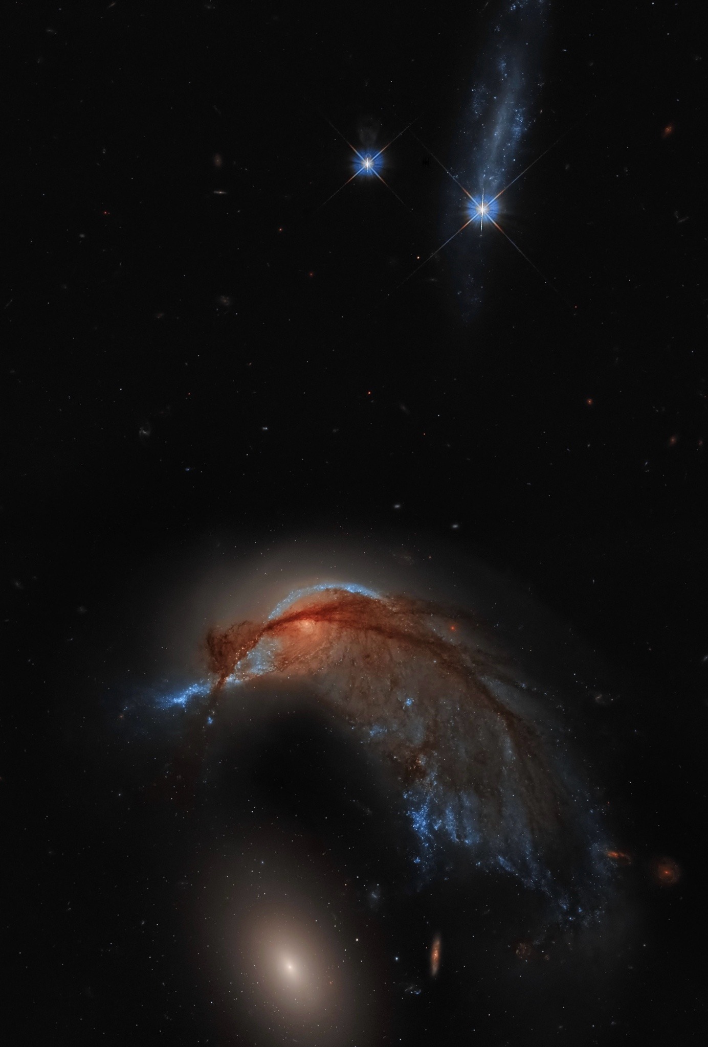 #每天一天文图# 蜂鸟星系 ​​​