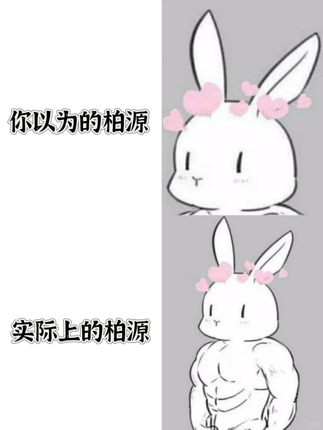 可爱的大柏兔！ooc致歉世界之外 ​​​