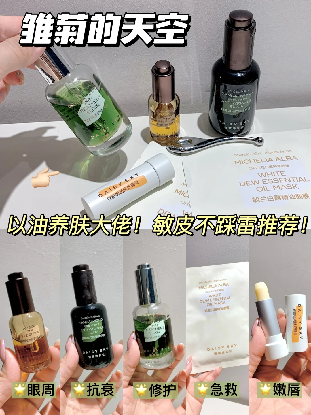 真有网传这么顶？雏菊的天空产品大测评！