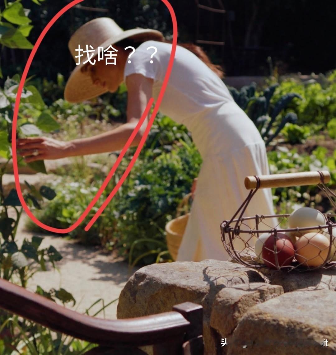 梅根·马克尔 vs 安妮·海瑟薇 
今天，梅根在她昨天抨击的Meta平台上，发布