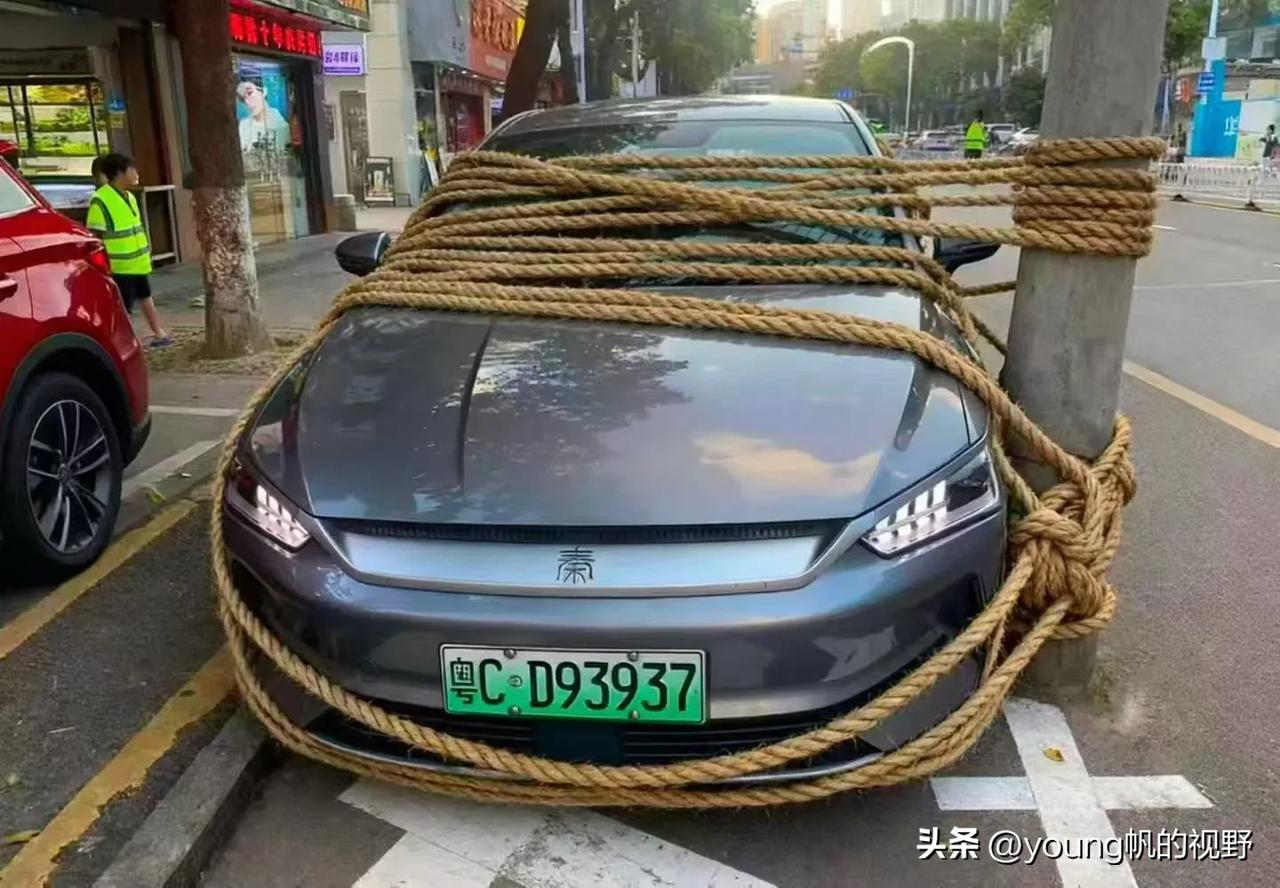 来自珠海轿车的呐喊:我所犯何罪，竟需如此被五花大绑？车主:不，仅仅是因为台风要来