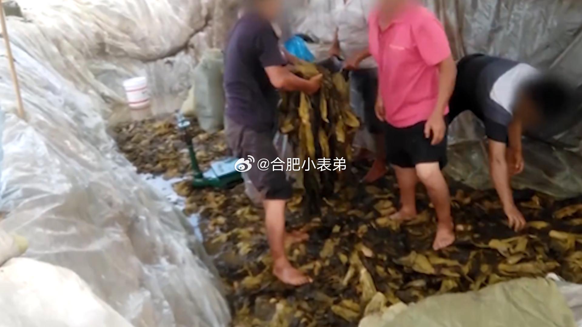老坛酸菜 脚踩时隔四年，老坛酸菜又因工人光脚踩酸菜、往菜池抽烟吐痰引爆热搜，这是