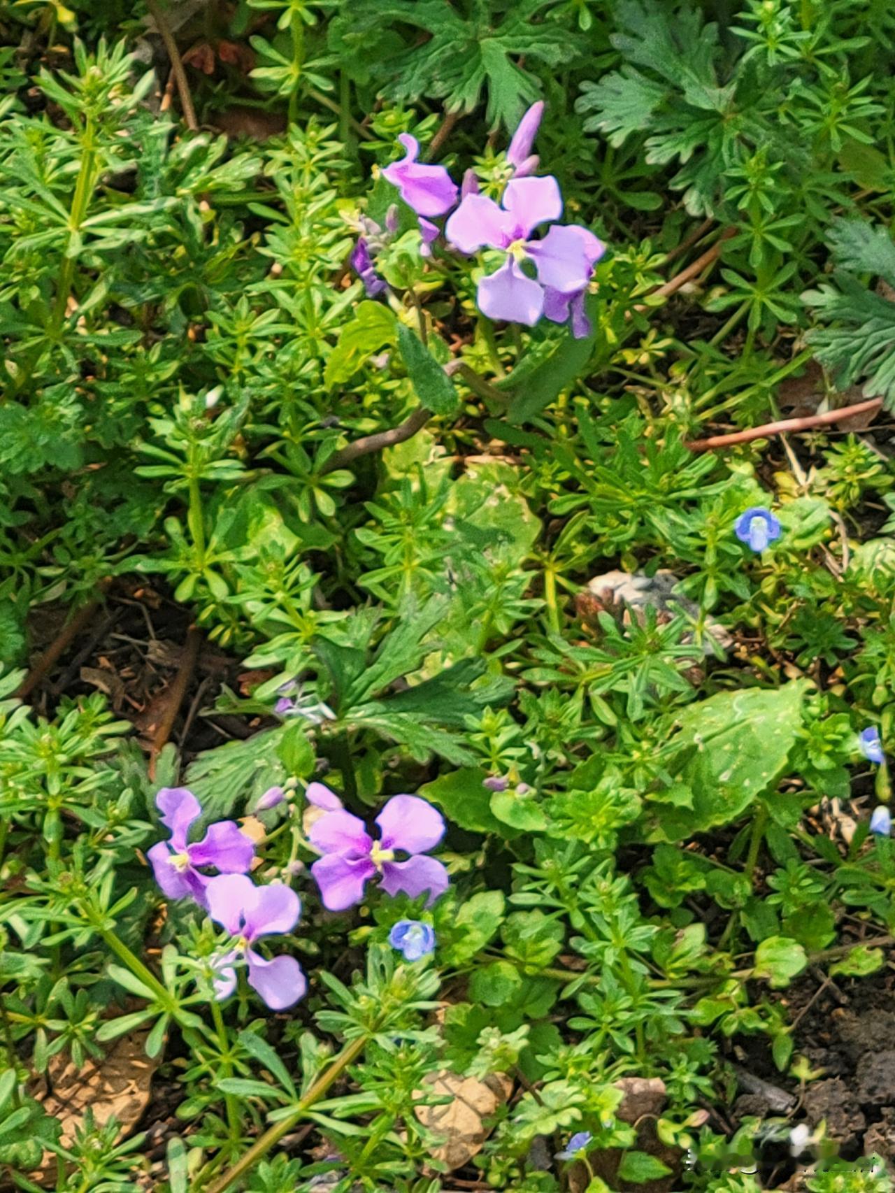 挣到钱的人就很有能力吗? 挣到钱的人就很有能力吗？这还真不好说。
挣钱确实是综合