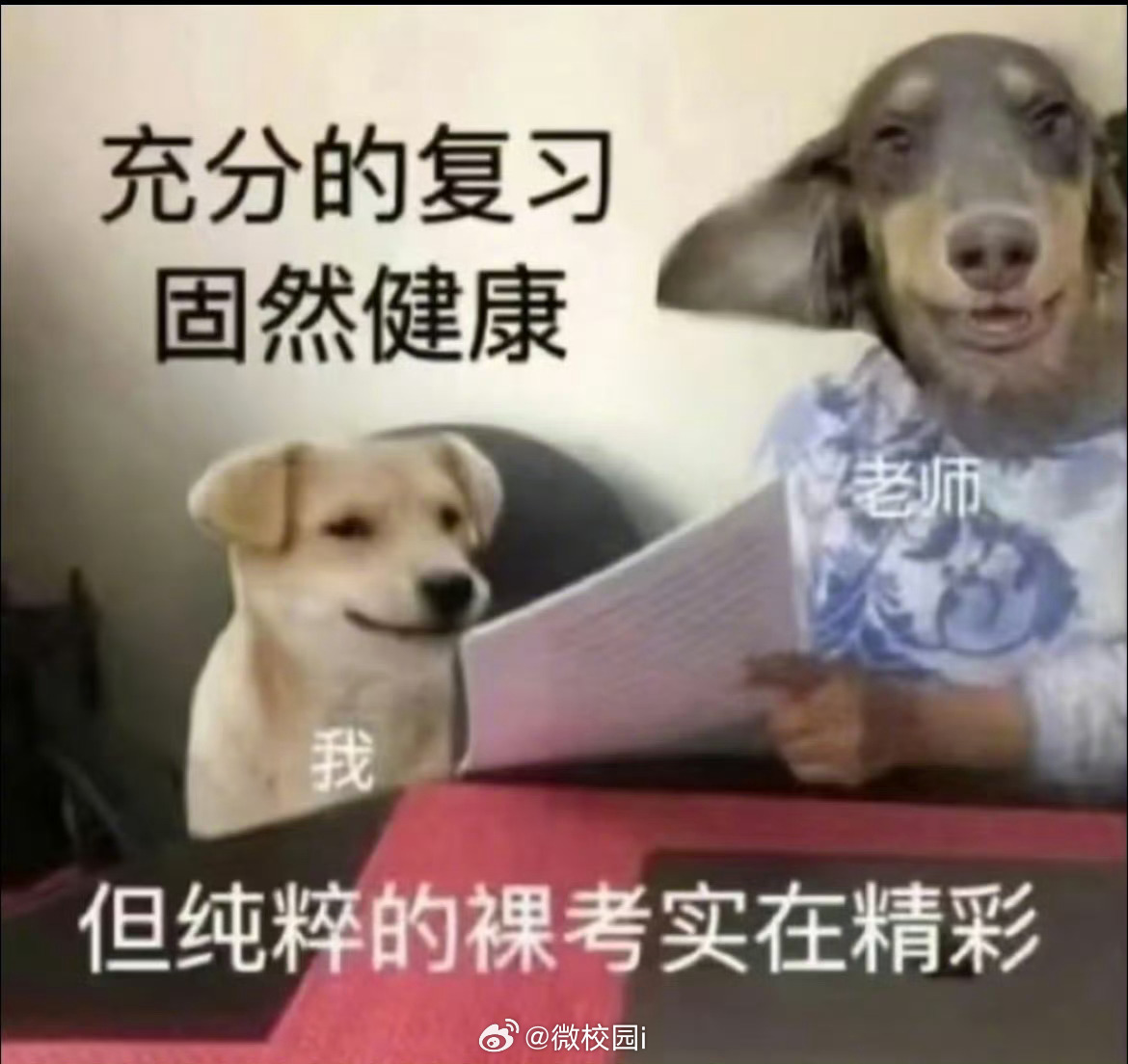 复习备考状态拉满  （脉动）期末周大学生专属的自我迷惑太真实了。对着书本翻看片刻