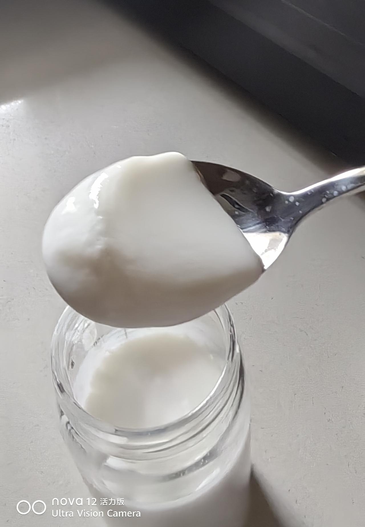 贴薪保姆之自制酸奶
今天早上酸奶有结果了，形态和味道都很好，买的安琪微酸菌种，的