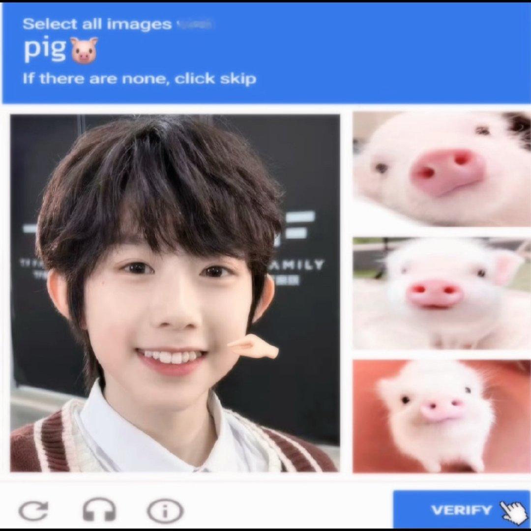 大家帮我找找哪个是真正的小猪🐽 
