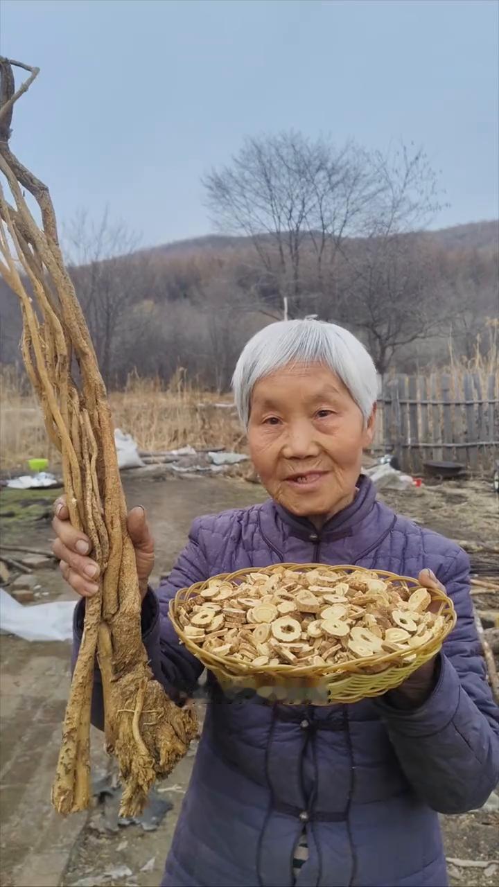 黑龙江原始大森林，最低零下40来度，寒带的黄芪嘎嘎好。
我家是小兴安岭的主脉，原