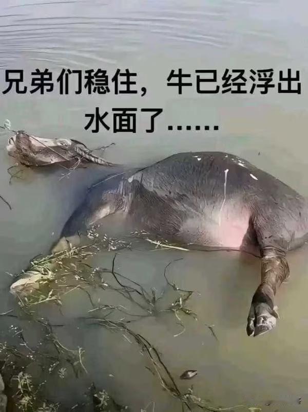 这是不是循环融资的"永动机"？
1、英伟达投资xAI→xAI购买英伟达芯片
2、