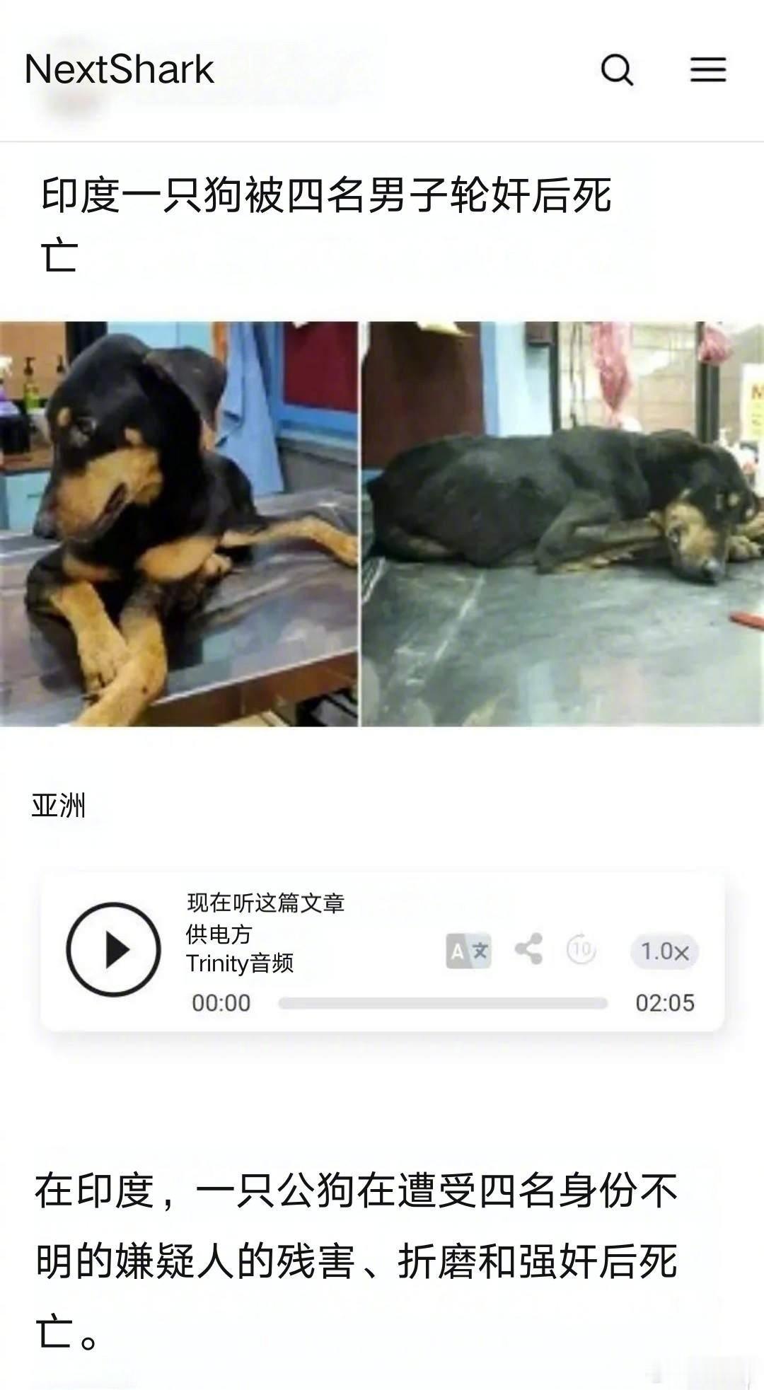 在印度，没有任何动物是安全的。一、牛：2014年，印度北方邦一名男子被指控强奸了