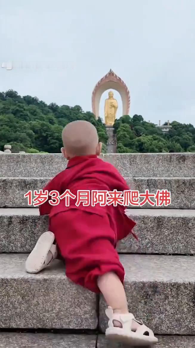 1岁3个月阿来爬大佛。