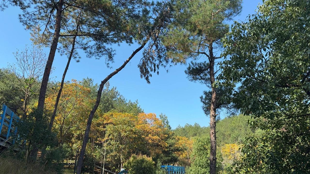 婆婆说给她三千块钱她来帮我接小孩
失业一周 两天一打电话问有没有找到工作 带着两