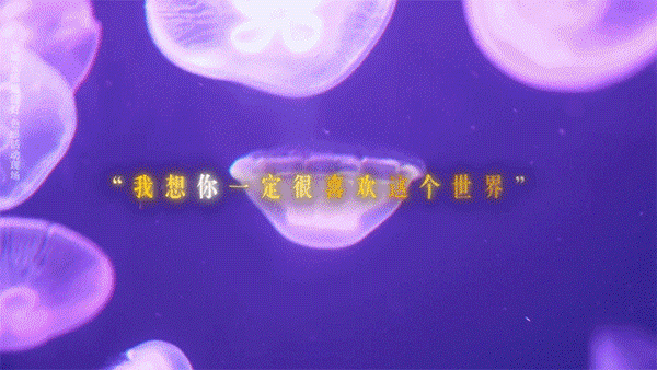 谁家摇人凑齐五城文旅五城文旅组团助阵太有排面了追剧解锁全新惊喜！五城文旅强势联动