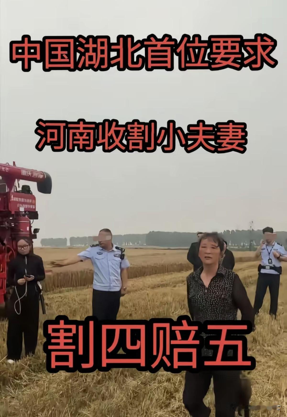 “割四赔五”这是社会诞生的又一个新成语。河南小夫妻跨省到H北收割小麦，在谈价阶段