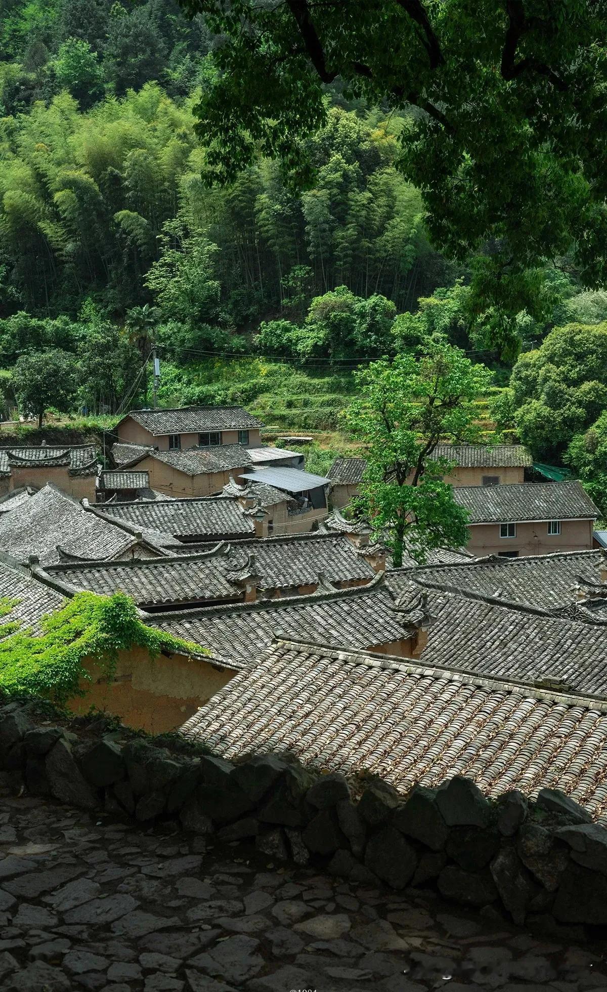 岁月漫漫，不盼他人懂悲欢，不候他人暖心寒
 
岁月沧桑，从来都是独自渡风雨，人间