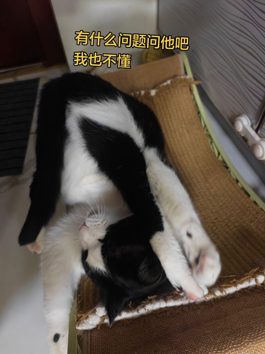 你问他吧。我不知道