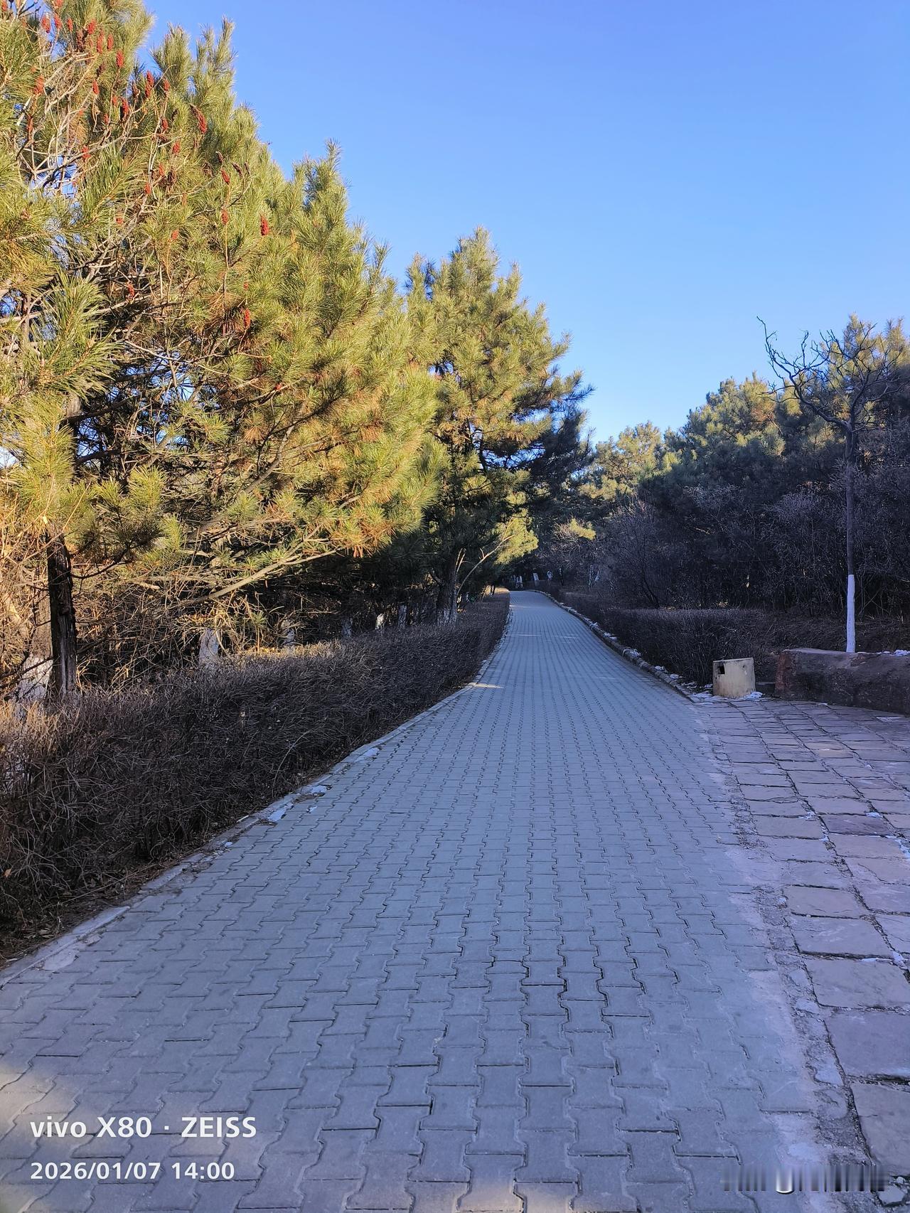 这些年自己的变化太大了，首先是外在的形象发生了巨大的变化，头发也白了，脸上的皱纹