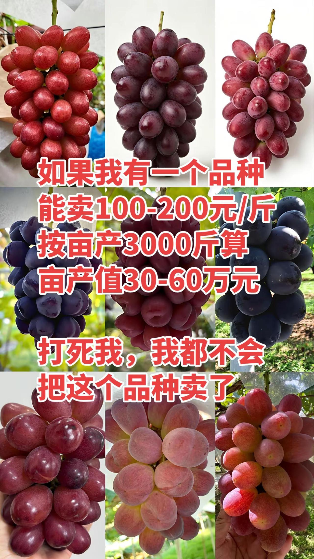 我要闷声发大财！😂😂😂不要对号入座，我说的是“如果”！