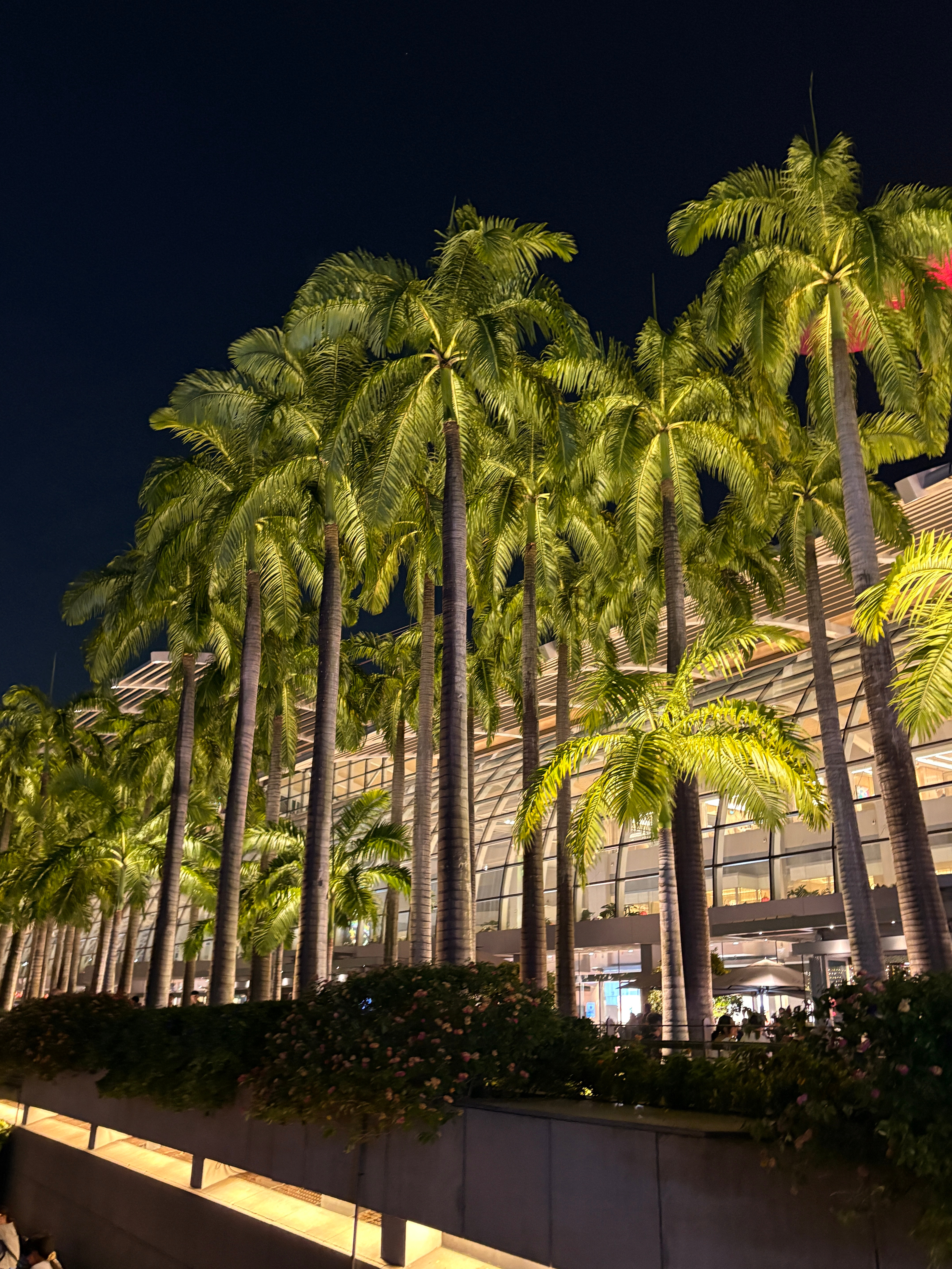 “狮狮如意”🇸🇬爸妈拍的一些游客照 新加坡