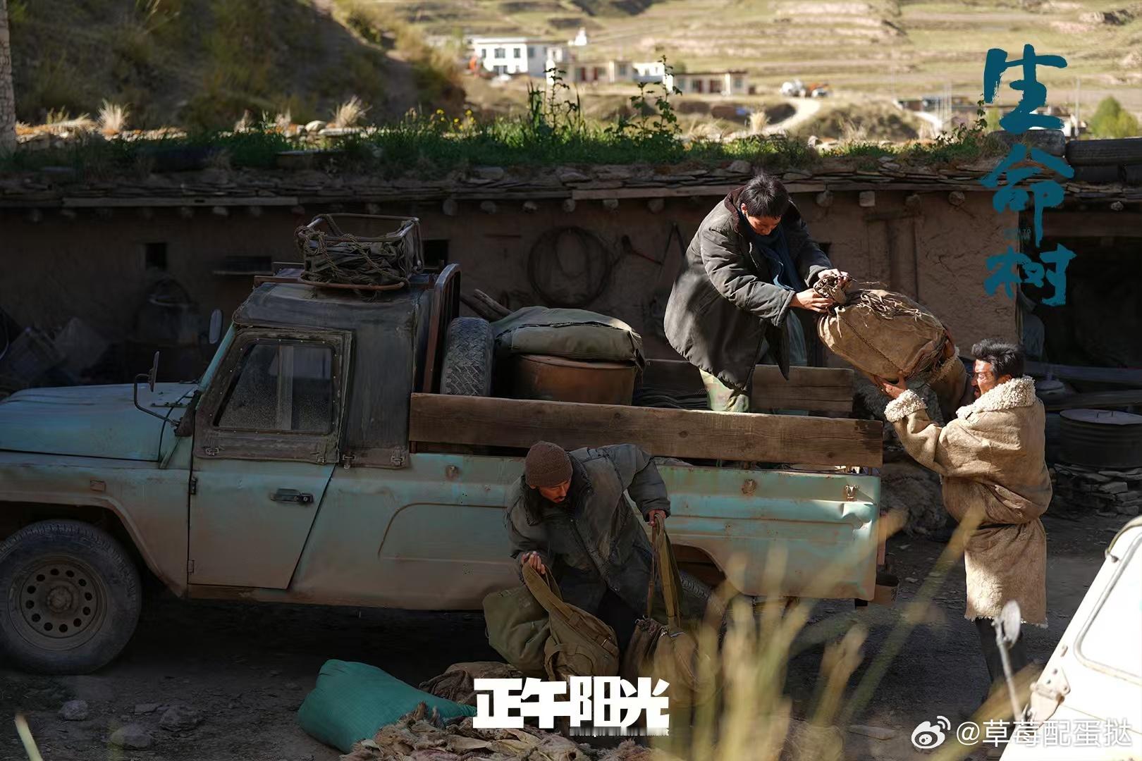 生命树巡山摇是西游记小钻风唱的 童年回忆杀+追剧新乐趣！《生命树》白菊多杰巡山，