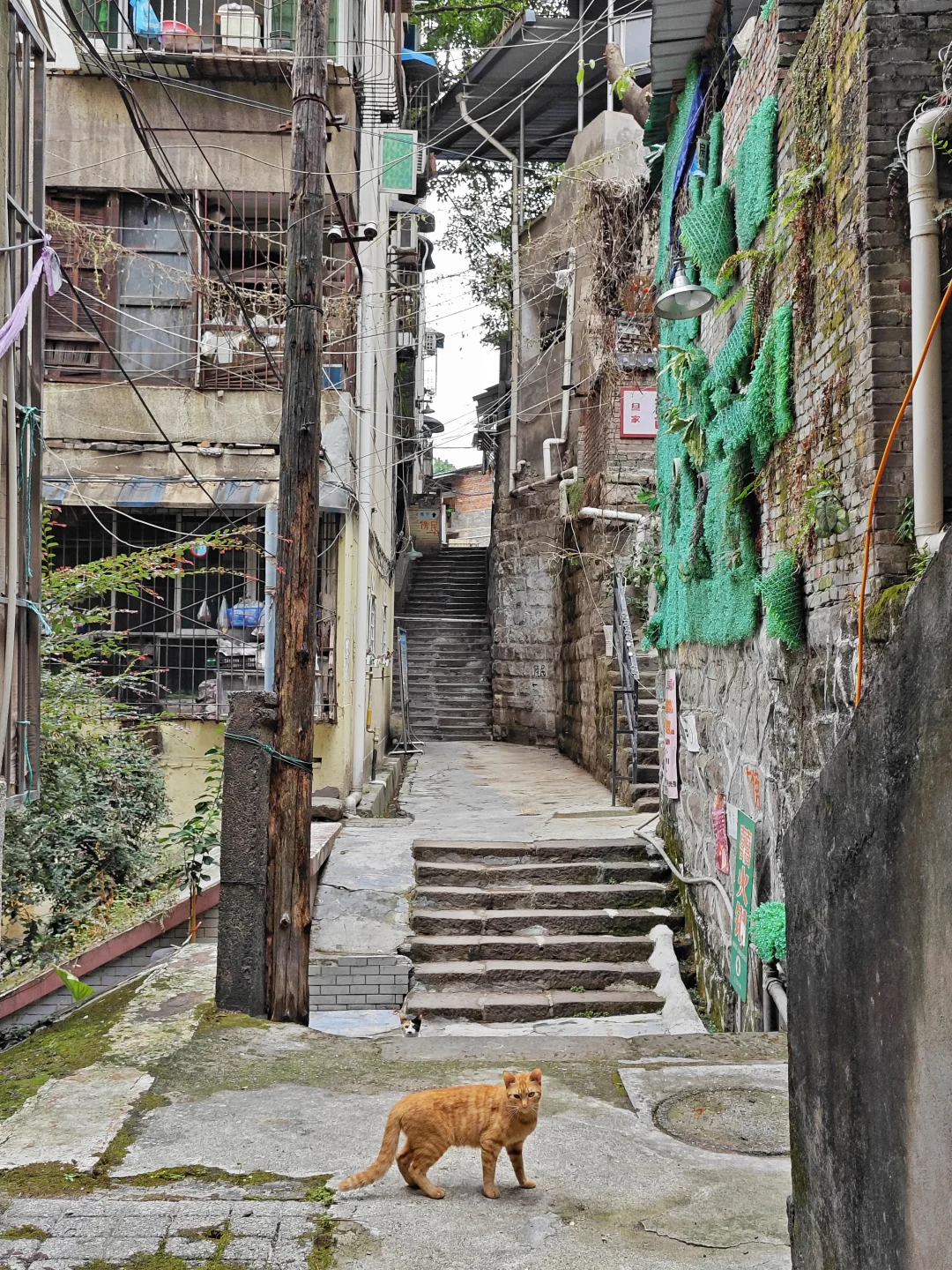 南岸上新街的另一面(citywalk371)