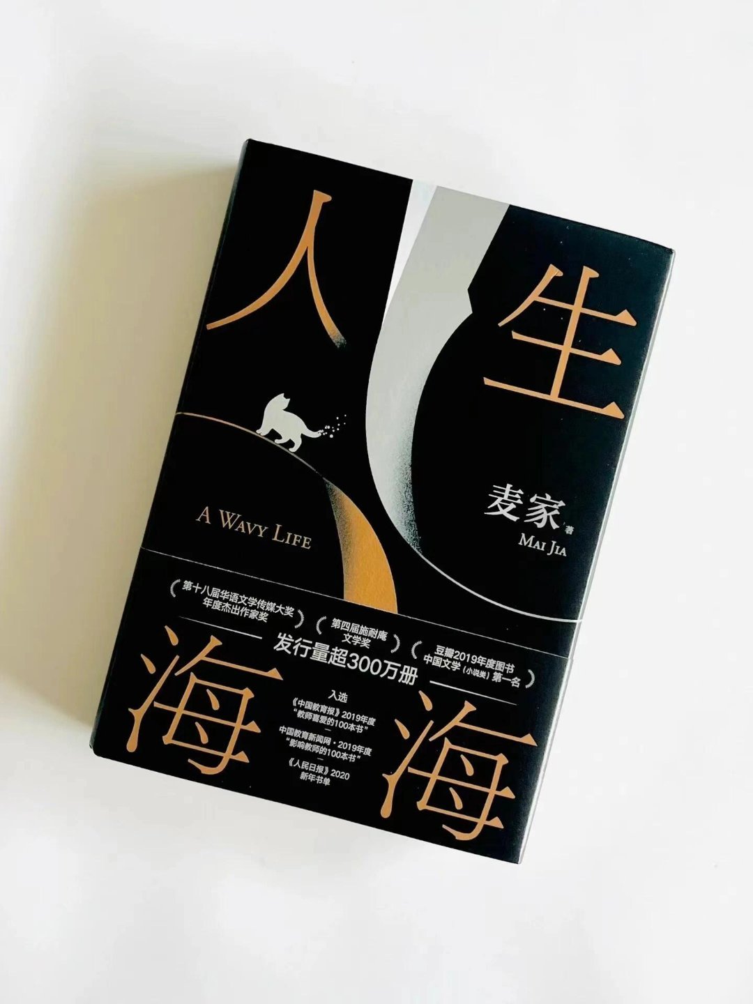 好书推荐   |  读完麦家的《人生海海》，心潮久久难平，仿佛跟随主角在时代浪潮