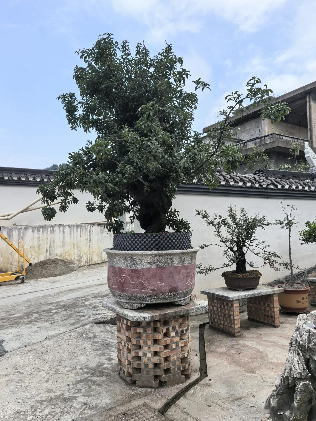 七律.十八洞村签名售卖售卖两本《随口说故事-苗族幽默故事选》感怀
（2024年9