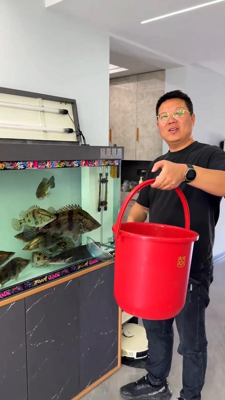 养鳜鱼投喂鲫鱼，一口一个嘎嘣脆。
开饭了，今天给鳜鱼做的，看一下，放到压甲机来消
