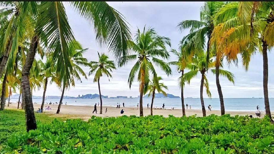 老铁，这个问题问到点子上了！最近后台好多外地的朋友准备来海南过年，都在问这事。今