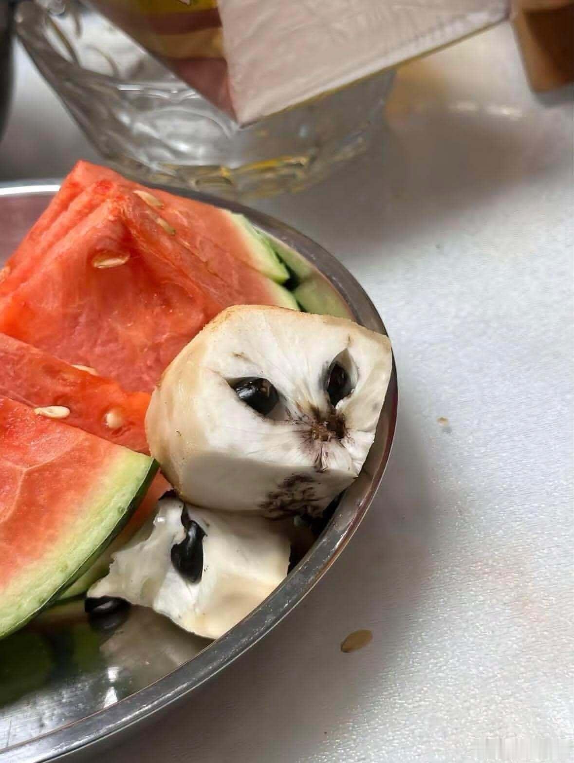 凤梨释迦猫