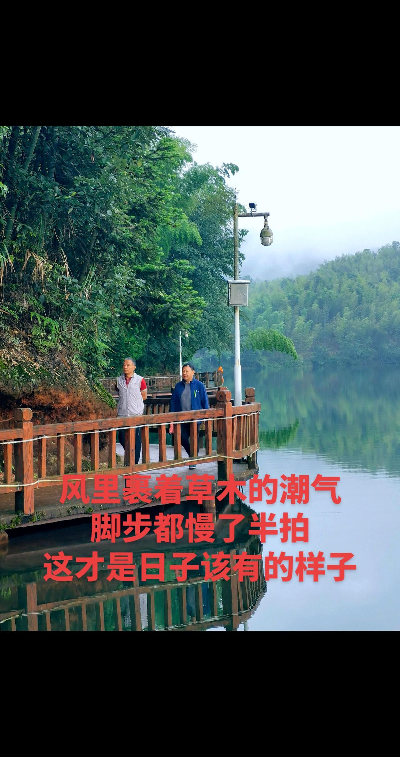 漫步天岛湖湖栈道。手机摄像 纪实摄影 原创视频 AI湖岸栈道，山青水静